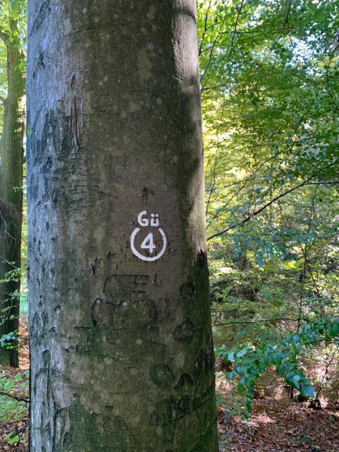 Mossautal Nibelungen Odenwaldhaus 빌라 외부 사진