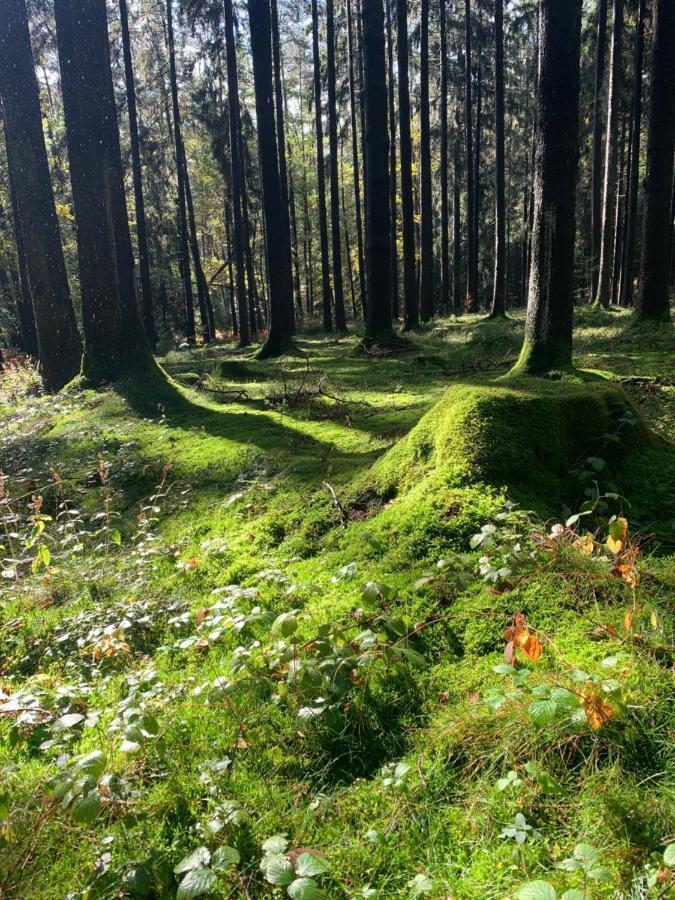 Mossautal Nibelungen Odenwaldhaus 빌라 외부 사진